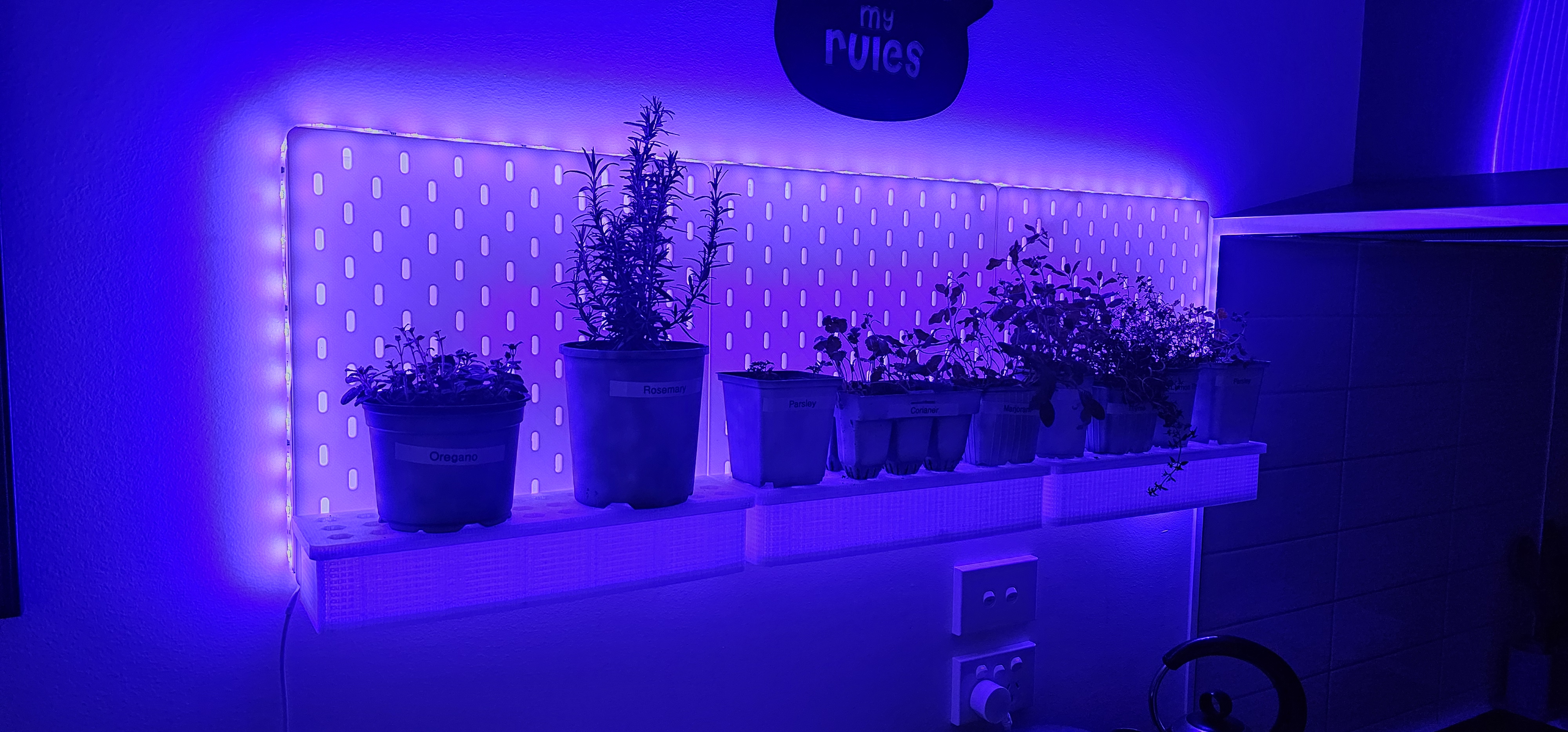 Printed shelf in use for kitchen herbs, with purple-lit wall panels behind it.
